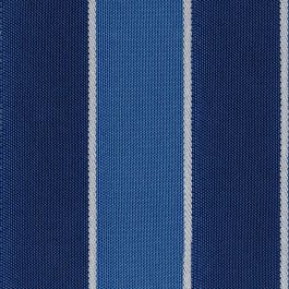 c31