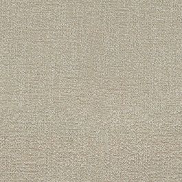 BOUCLE DELIGHT