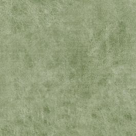 Moss