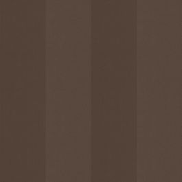 Cocoa