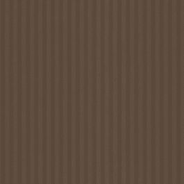 Cocoa