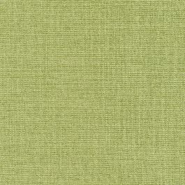 Grass