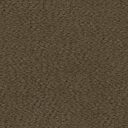 Umber
