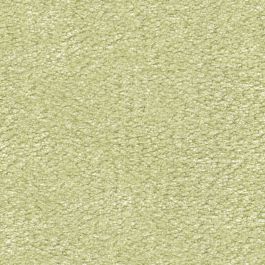 Celery Ice
