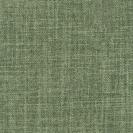Seagrass