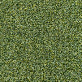 Moss