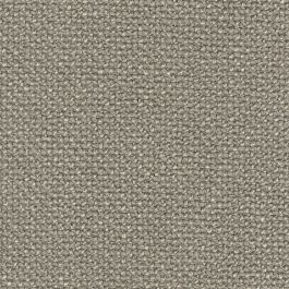 Silver Grey