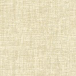 Cotton White