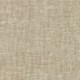 Pale Khaki